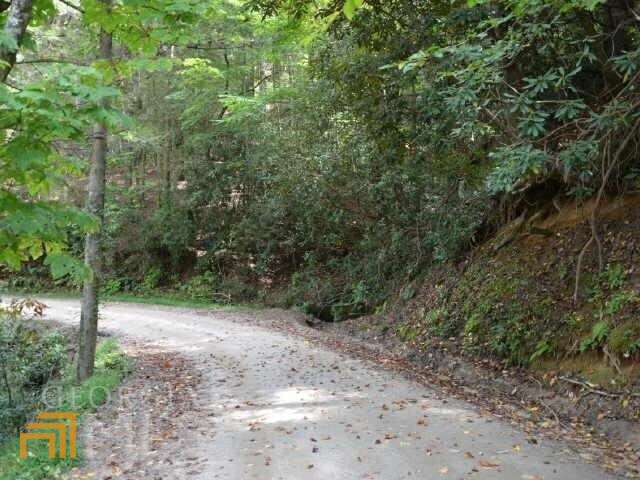 0 Brandon Mill Road Lakemont, GA 30552 - Photo 1 of 1 Gallery Image 1