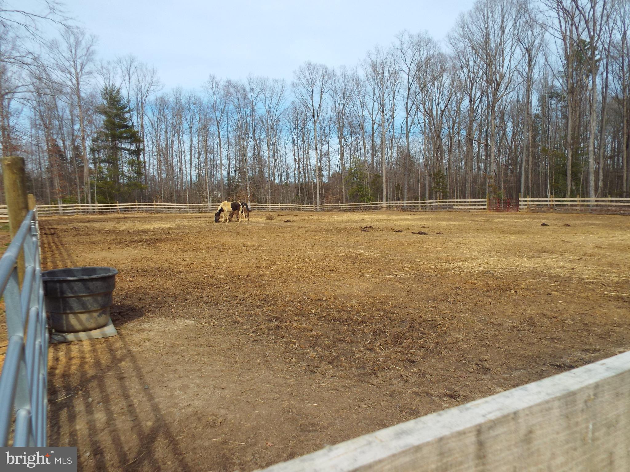 760 Greenes Corner Road Bumpass, VA 23024 - Photo 11 of 14 Wonderful view of the horses grazing in a pasture.