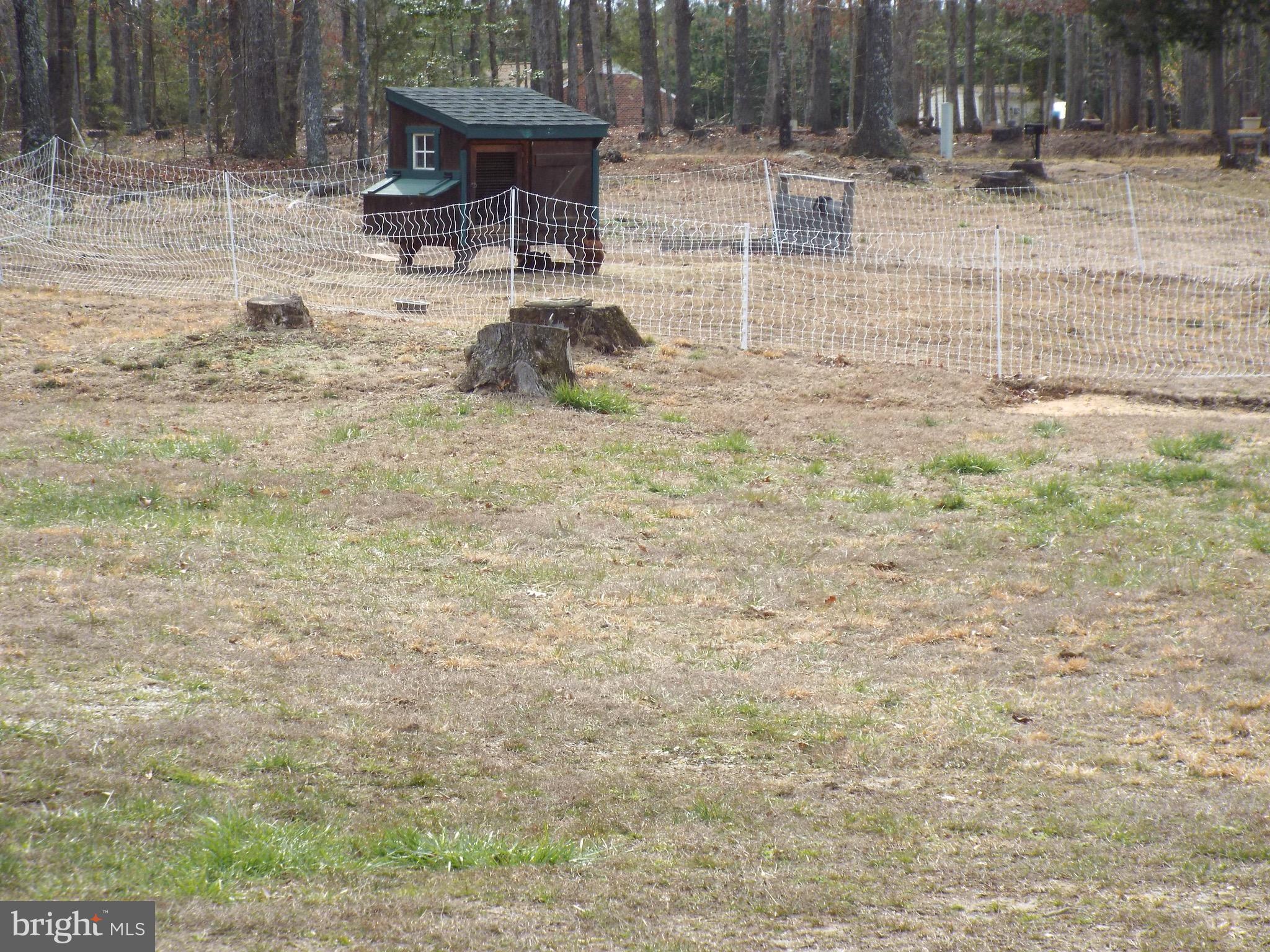 760 Greenes Corner Road Bumpass, VA 23024 - Photo 12 of 14 Get those free range eggs Here. Chicken Coup