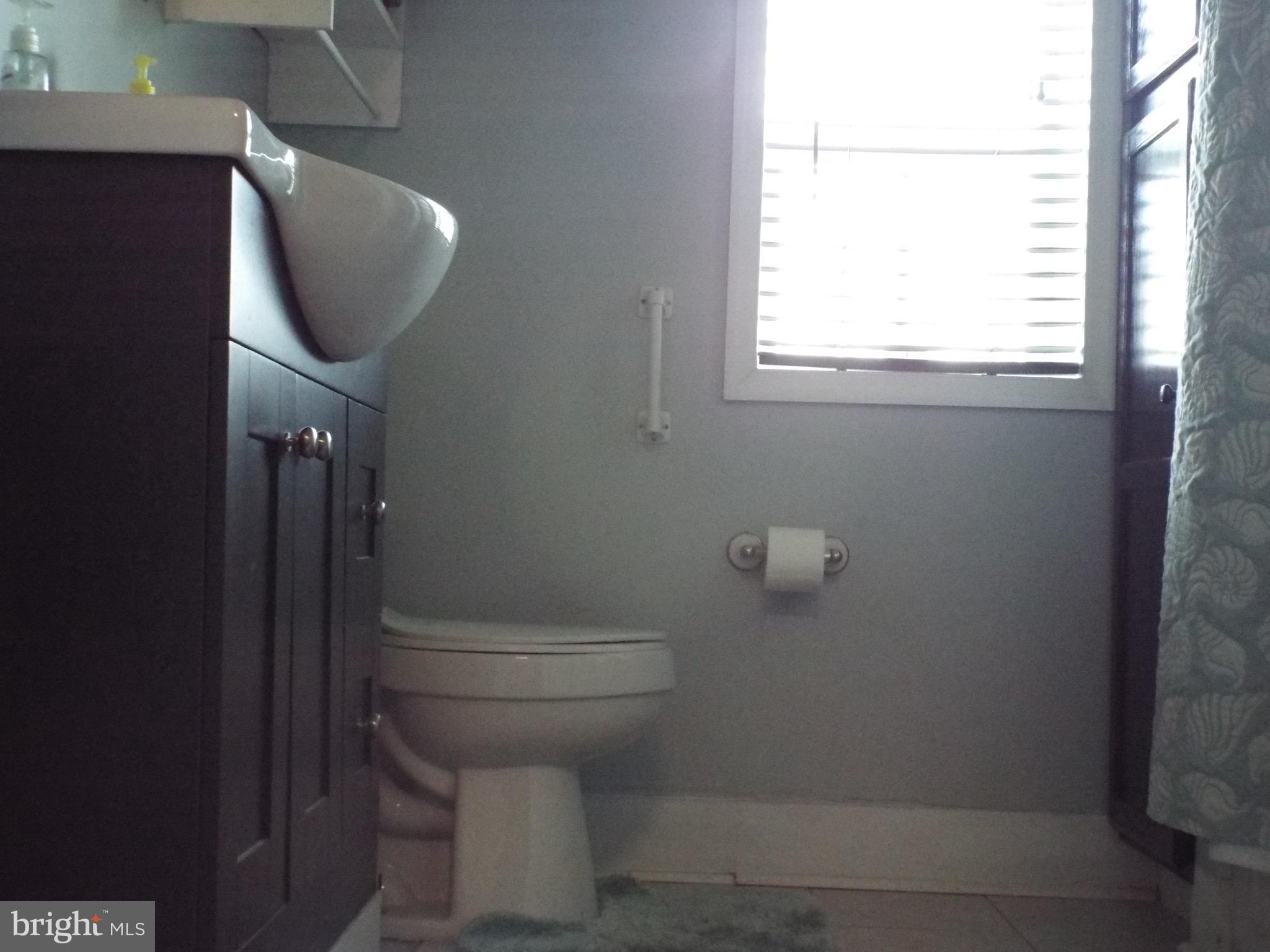 760 Greenes Corner Road Bumpass, VA 23024 - Photo 8 of 14 2nd Bath & Shower