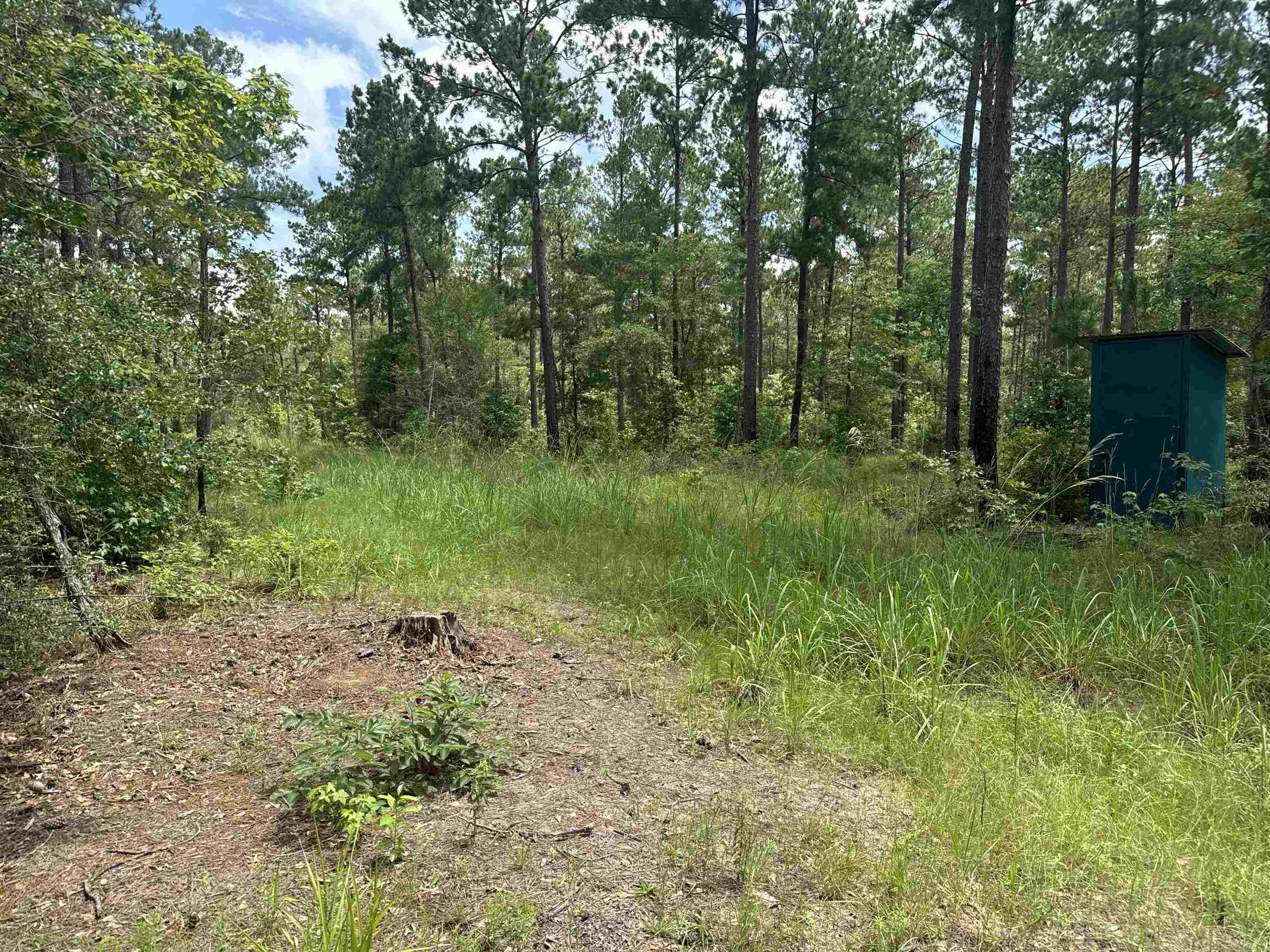 90 County Divide Road Bronson, TX 75930 - Photo 11 of 20