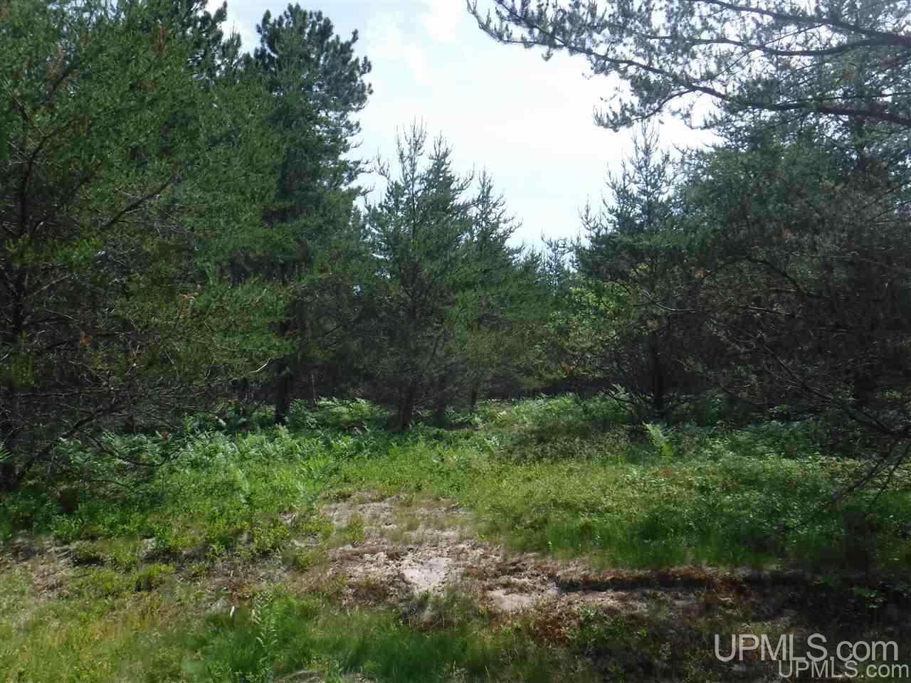 Tbd South Little Traverse Road Lake Linden, MI 49945 - Photo 5 of 7