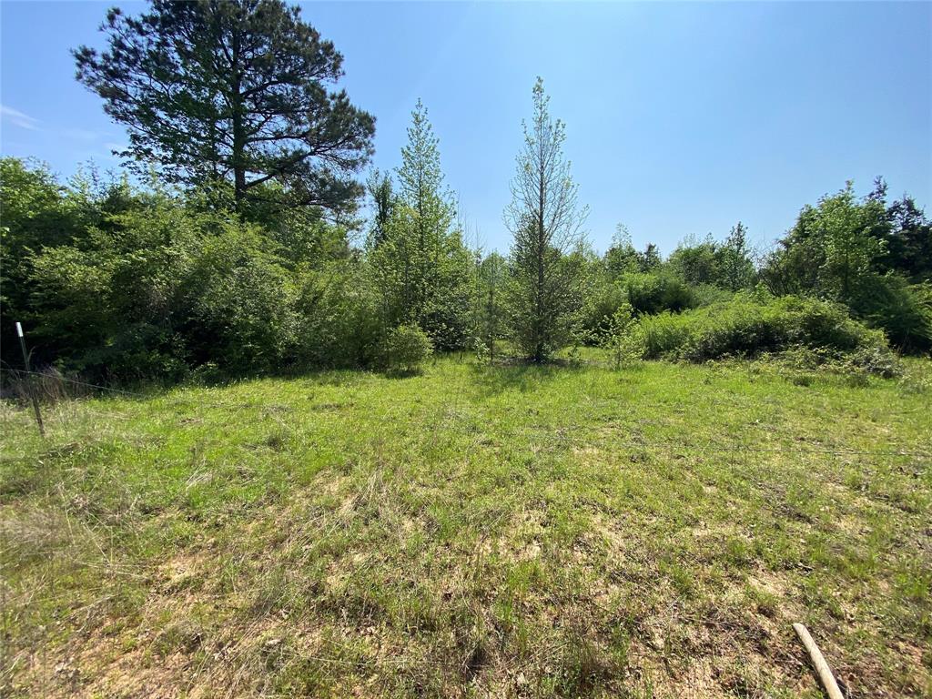 Tbd Flarity Road Jefferson, TX 75657 - Photo 11 of 40 a view of an outdoor space with a lake view