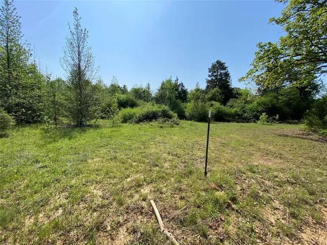 a backyard of a house with plants and trees