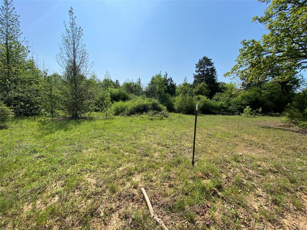 Tbd Flarity Road Jefferson, TX 75657 - Photo 12 of 40 a backyard of a house with plants and trees