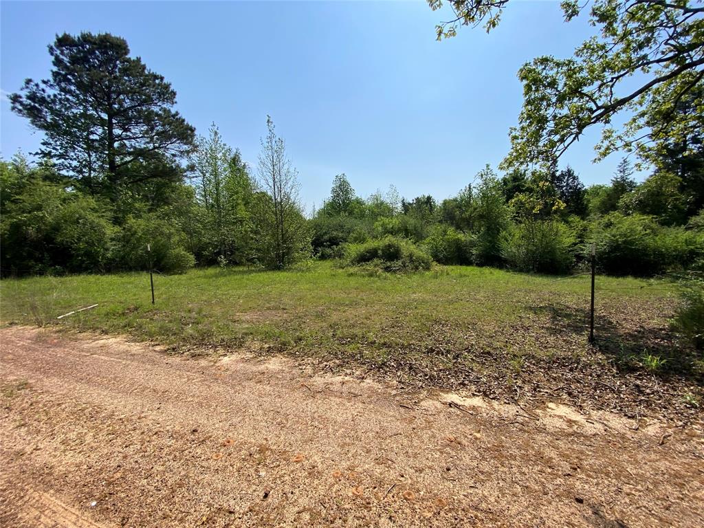 Tbd Flarity Road Jefferson, TX 75657 - Photo 13 of 40 a view of a park