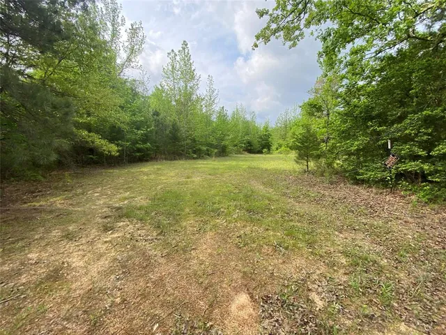 a view of a field with trees in the background