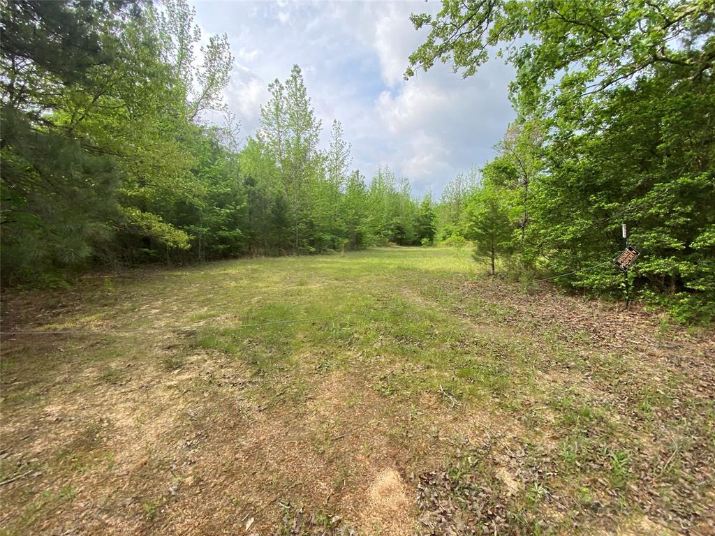 Tbd Flarity Road Jefferson, TX 75657 - Photo 22 of 40 a view of a field with trees in the background