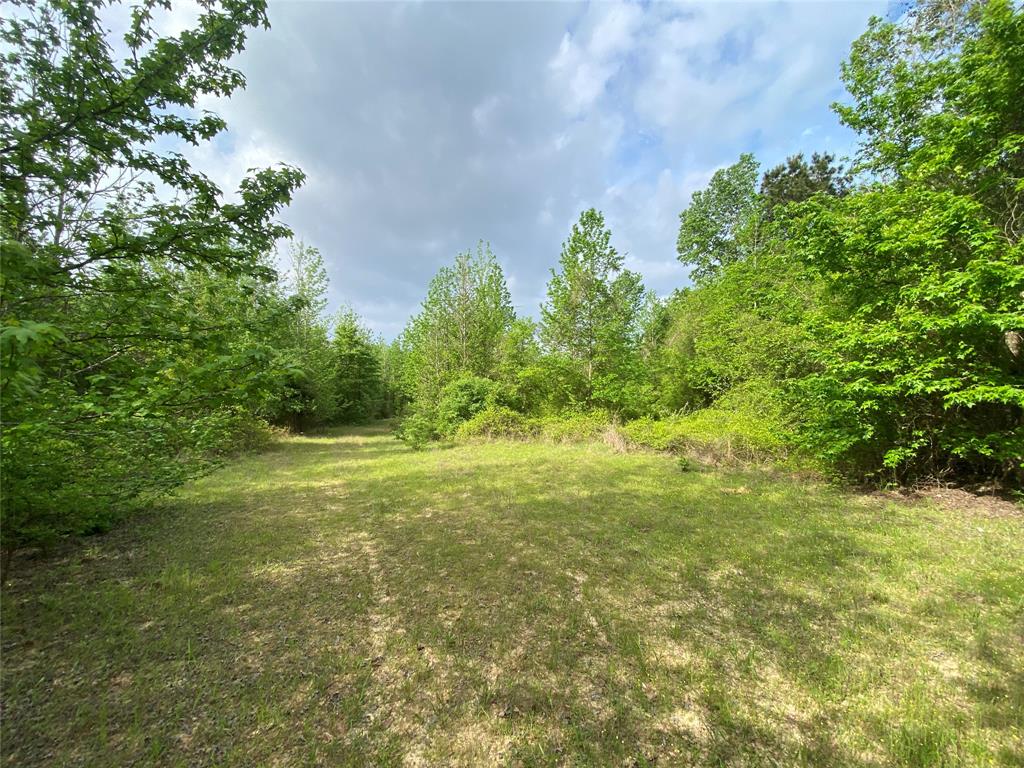 Tbd Flarity Road Jefferson, TX 75657 - Photo 23 of 40 a yard with swimming pool and green space