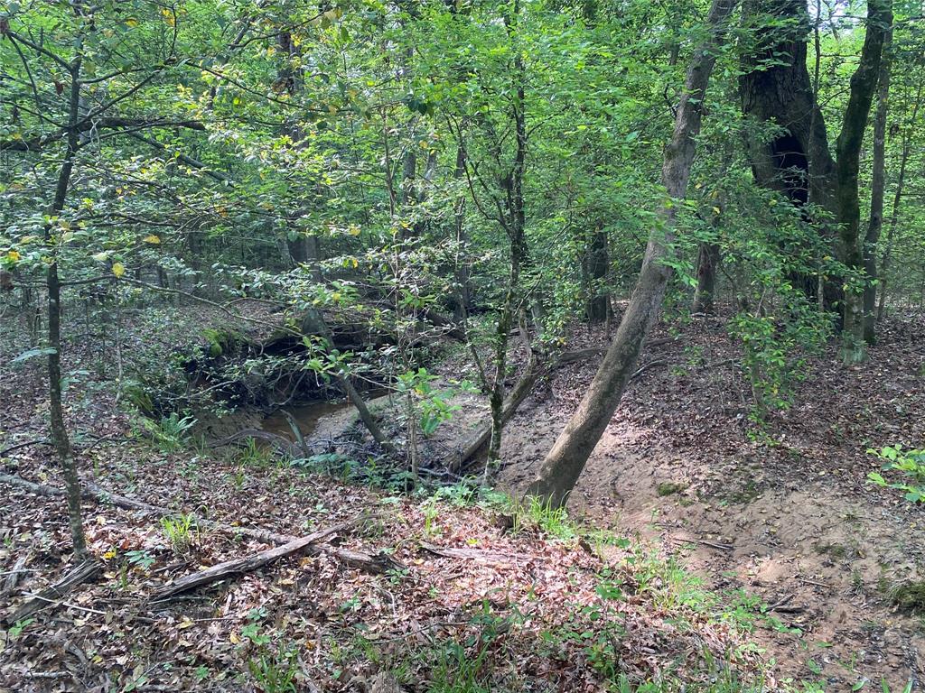 Tbd Flarity Road Jefferson, TX 75657 - Photo 29 of 40 a backyard of a house with lots of green space