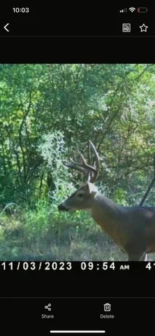 a view of swimming pool from a yard