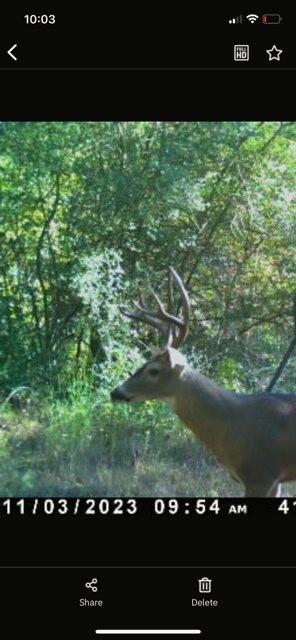 Tbd Flarity Road Jefferson, TX 75657 - Photo 3 of 40 a view of swimming pool from a yard