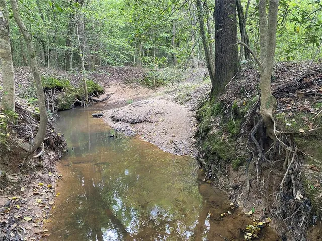 a view of a water pond with green space