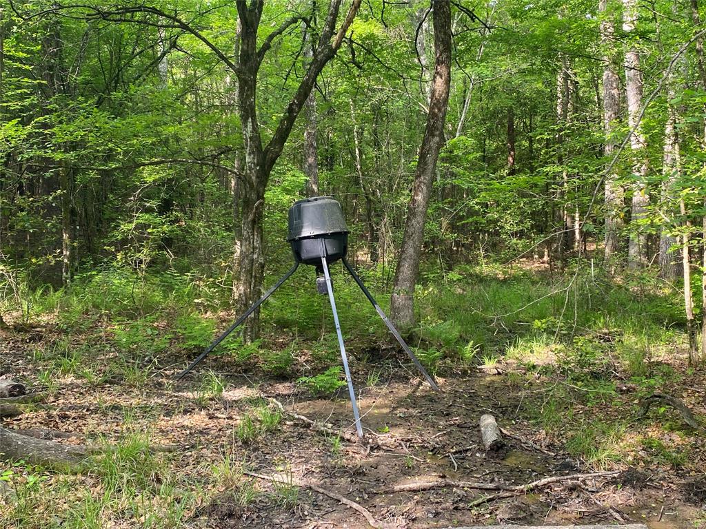 Tbd Flarity Road Jefferson, TX 75657 - Photo 33 of 40 a backyard of a house with table and chairs