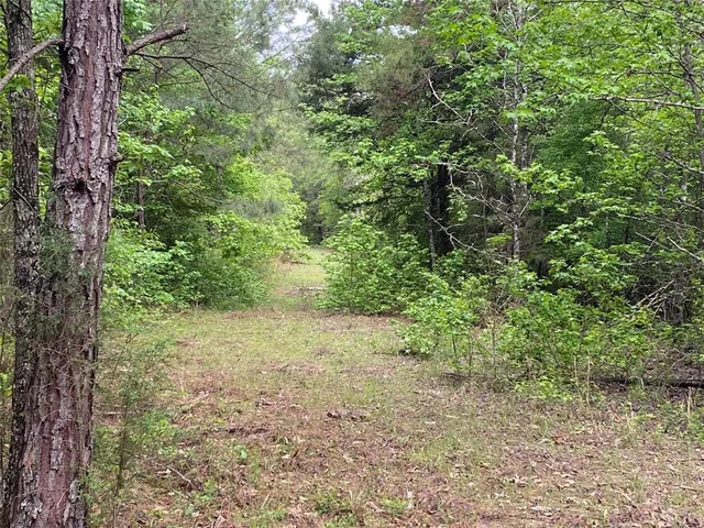 a view of a yard with a tree