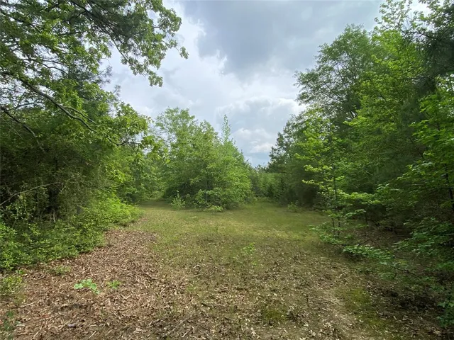 a view of a large yard with lots of green space