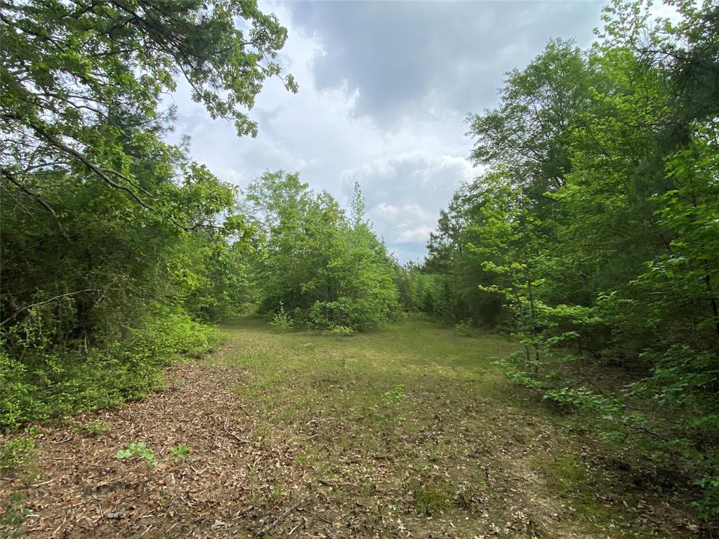 Tbd Flarity Road Jefferson, TX 75657 - Photo 38 of 40 a view of a large yard with lots of green space