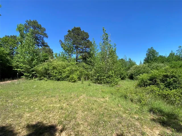 a view of a big yard with plants and large trees