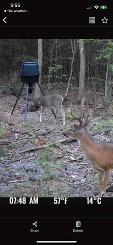 a view of a back yard of the house