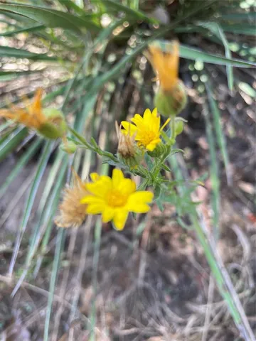 a view of an outdoor space