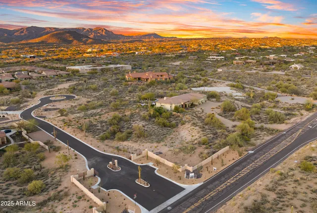 a view of a street with a tree