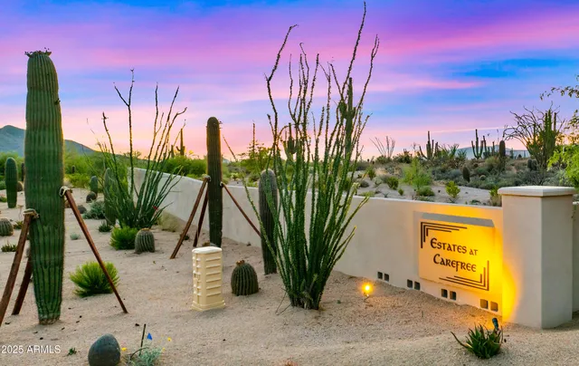 a view of a backyard with table and chairs potted plants and a large tree