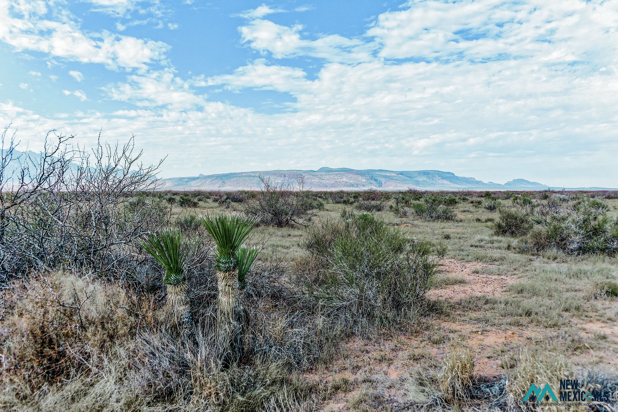 6 Monte Vista Road Southwest Deming, NM 88030 - Photo 20 of 25 Gallery Image 20
