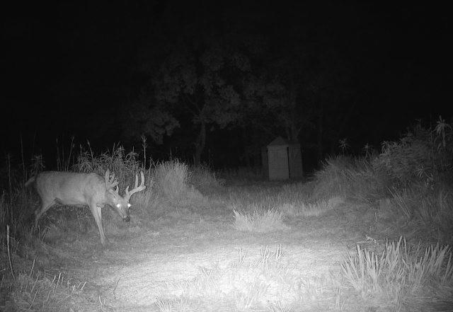 0 Southeast 900 Road Kincaid, KS 66039 - Photo 15 of 15 Gallery Image 15