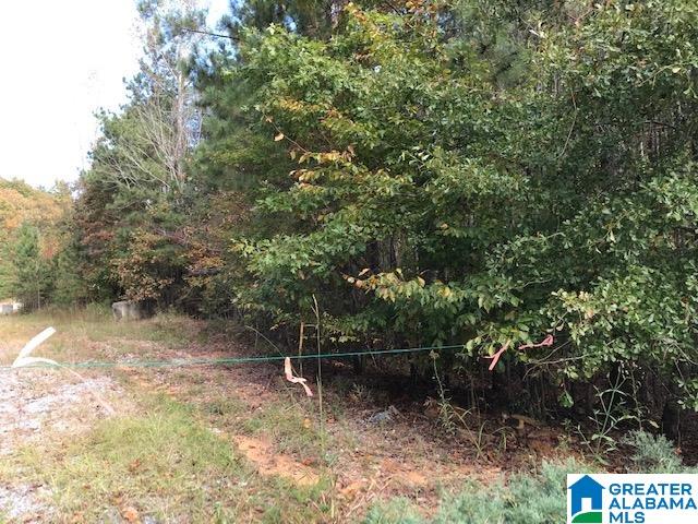 2 Ridgeline Drive, Unit 2 Calera, AL 35040 - Photo 2 of 6
