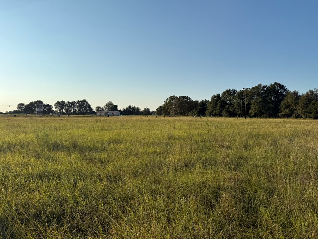 0 County Road 262 Abbeville, AL 36310 - Photo 5 of 10