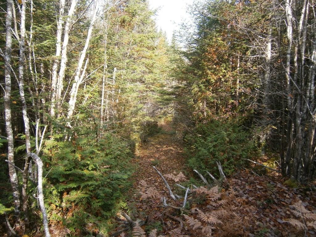 0 Roque Bluffs Road Jonesboro, ME 04648 - Photo 12 of 34 Maine Land for Sale