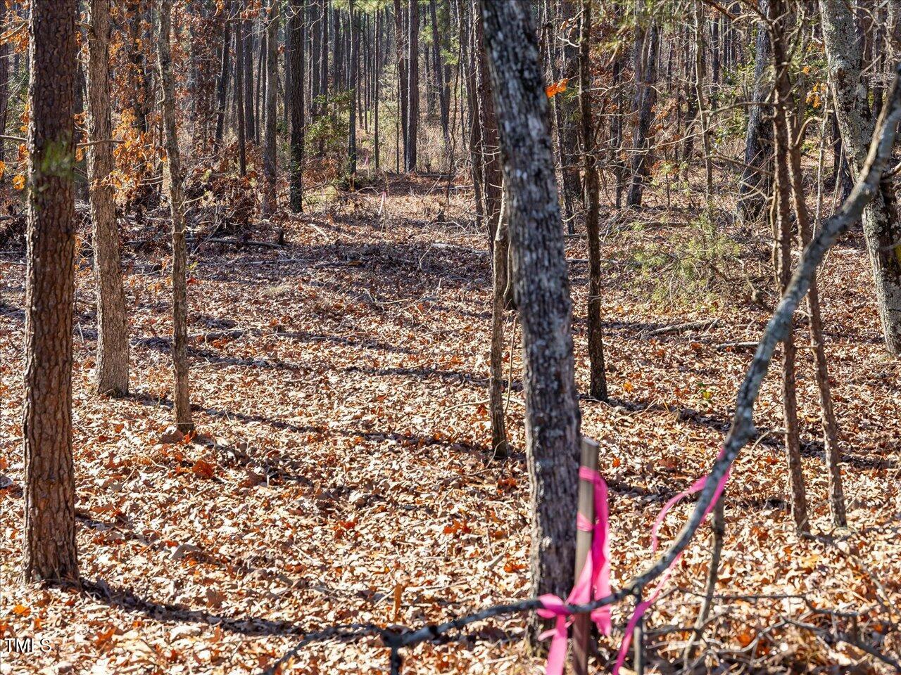 2 Robedo Rd Mount Mount Gilead, NC 27306 - Photo 19 of 28 21-021-Tract2-RobedoRd-MontgomeryCounty-