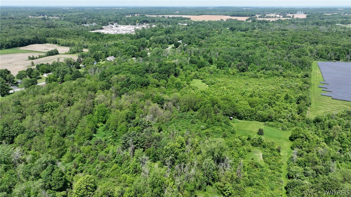 Hartshorn Road Corfu, NY 14036 - Photo 10 of 14