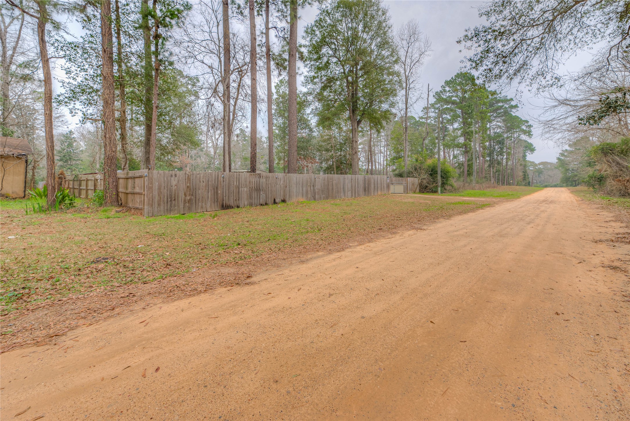 713 Garrett Road Livingston, TX 77351 - Photo 27 of 40 a view of a yard with a trees
