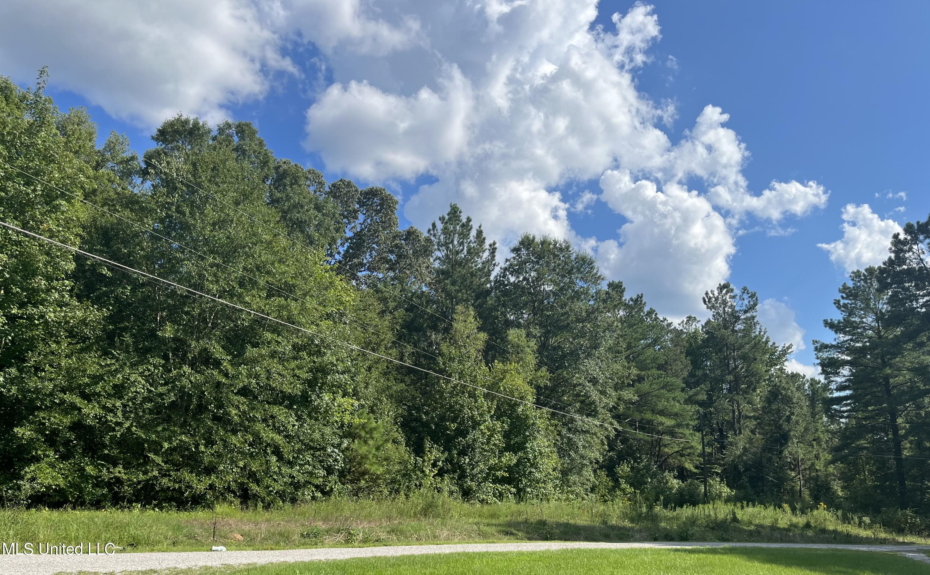 Lot 6 Bell Road Byhalia, MS 38611 - Photo 1 of 5 Bell Rd lot