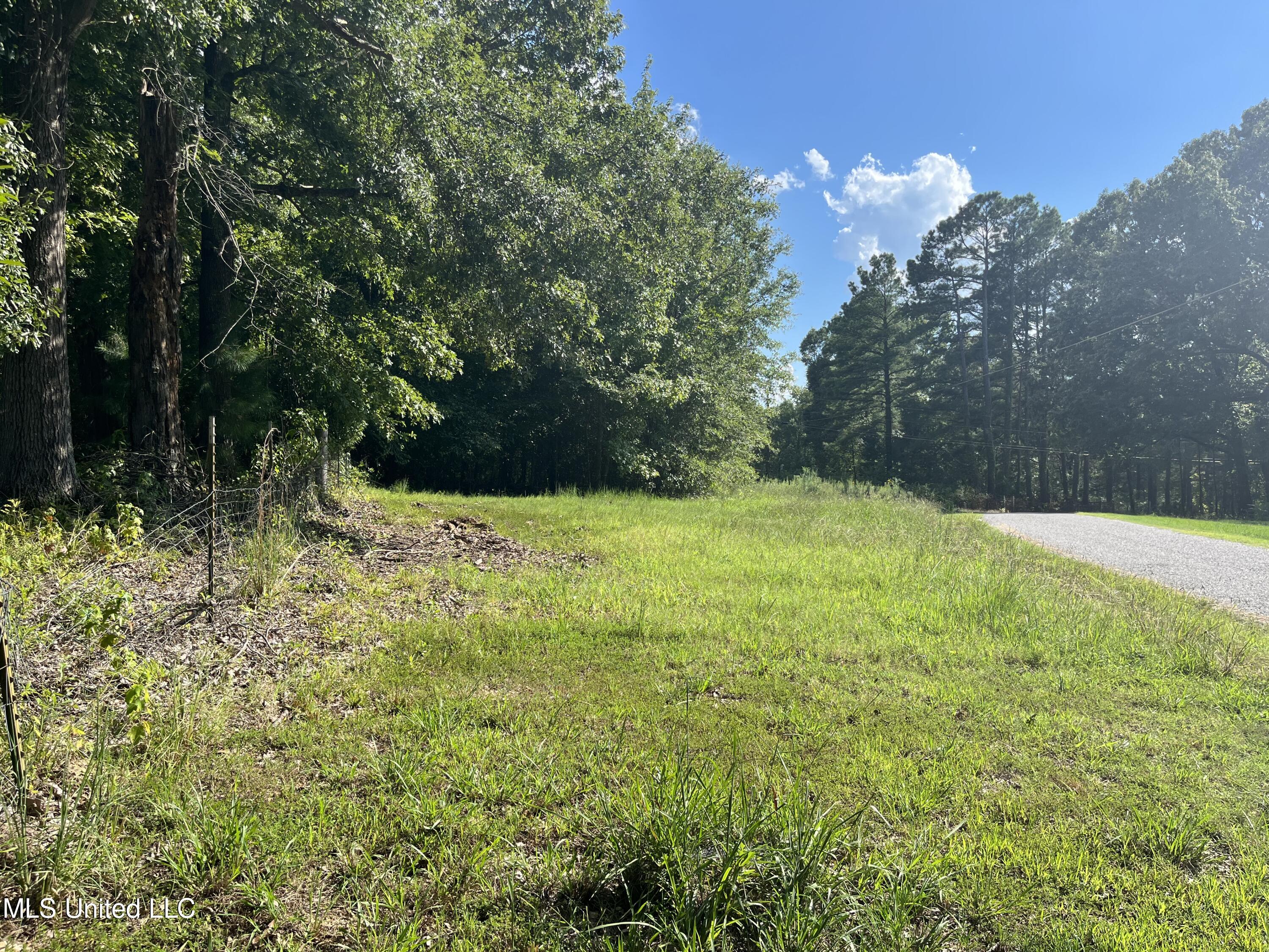 Lot 6 Bell Road Byhalia, MS 38611 - Photo 4 of 5 IMG_6991