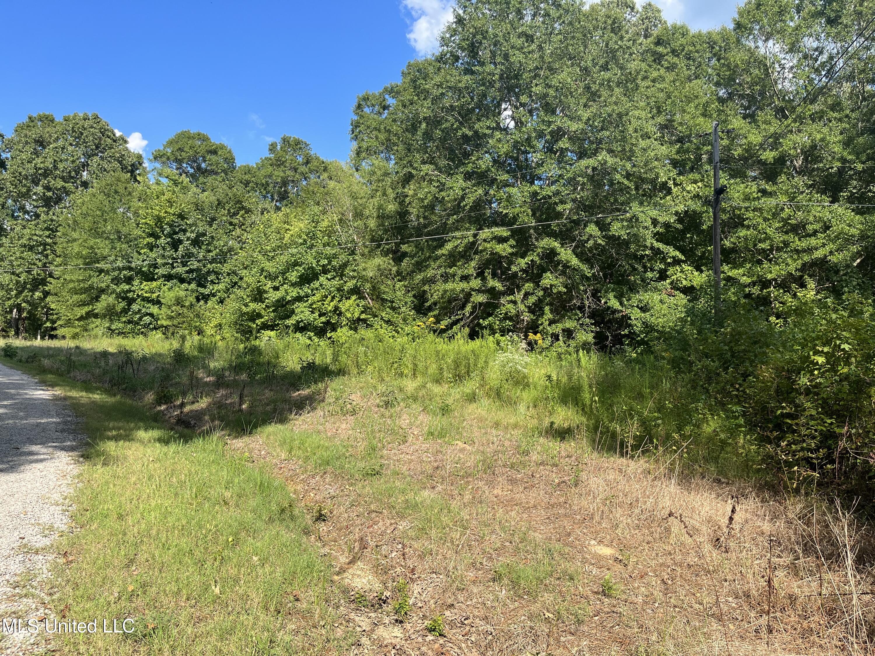 Lot 6 Bell Road Byhalia, MS 38611 - Photo 5 of 5 IMG_6993