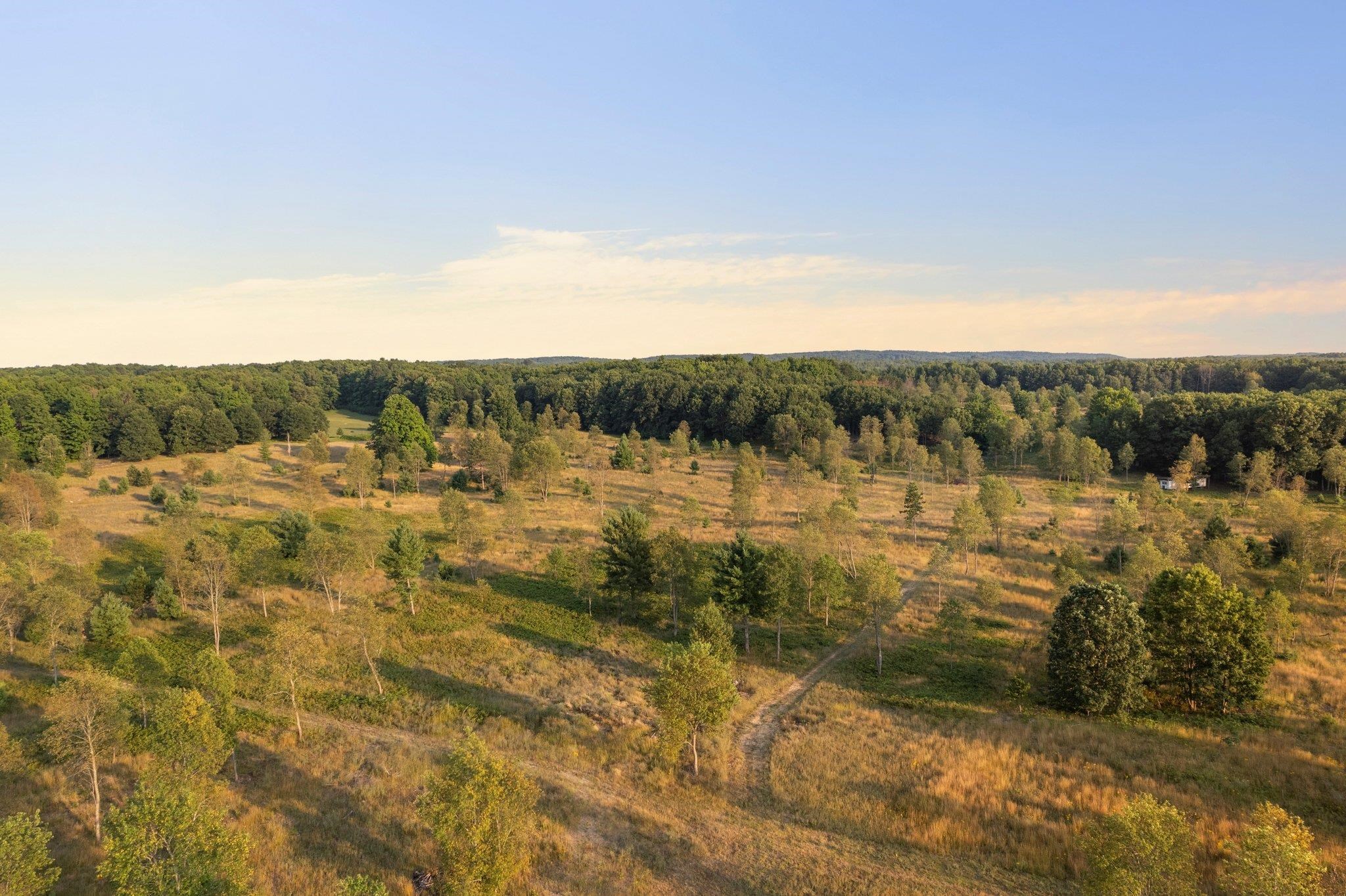 0 Inman Road Southwest Fife Lake, MI 49633 - Photo 13 of 29