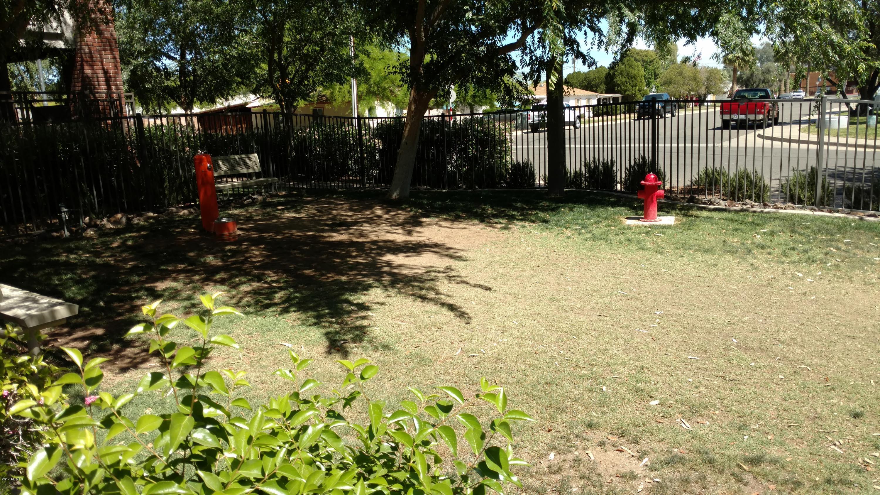 909 East Camelback Road, Unit 3020 Phoenix, AZ 85014 - Photo 20 of 22 Dog park