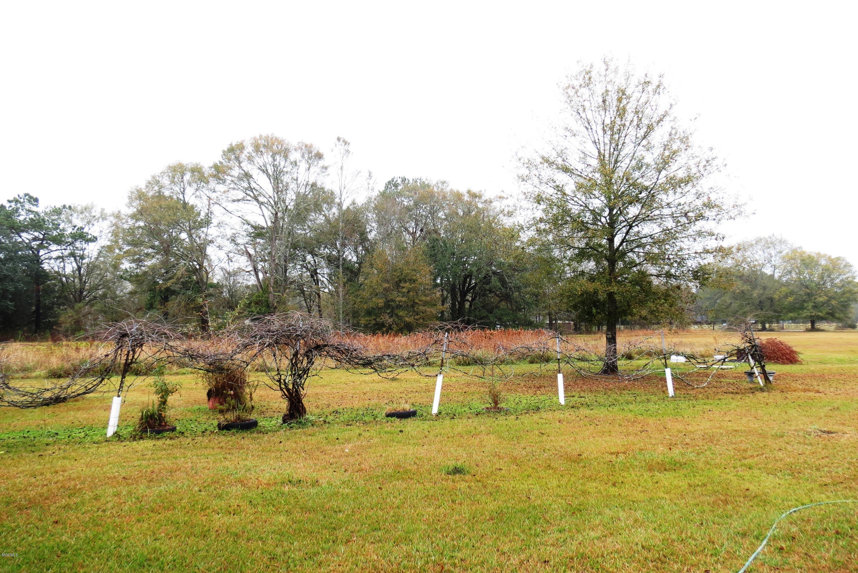 6025 Wildwood Road Moss Point, MS 39562 - Photo 25 of 28 IMG_8631