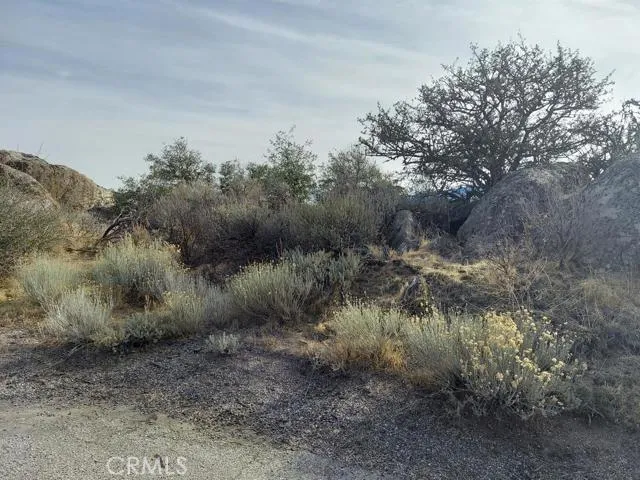 a view of a lake with lots of trees