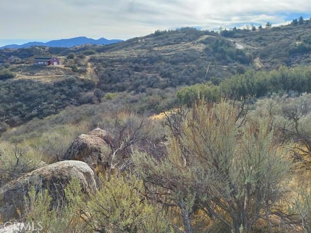 0 Amberwood Court Tehachapi, CA 93561 - Photo 4 of 8 a view of a lush green field