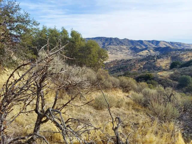 a view of a dry field