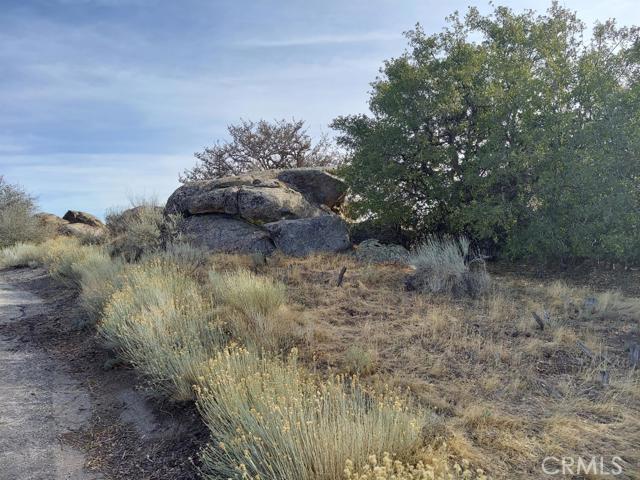 0 Amberwood Court Tehachapi, CA 93561 - Photo 7 of 8 a view of a dry field with trees in the background