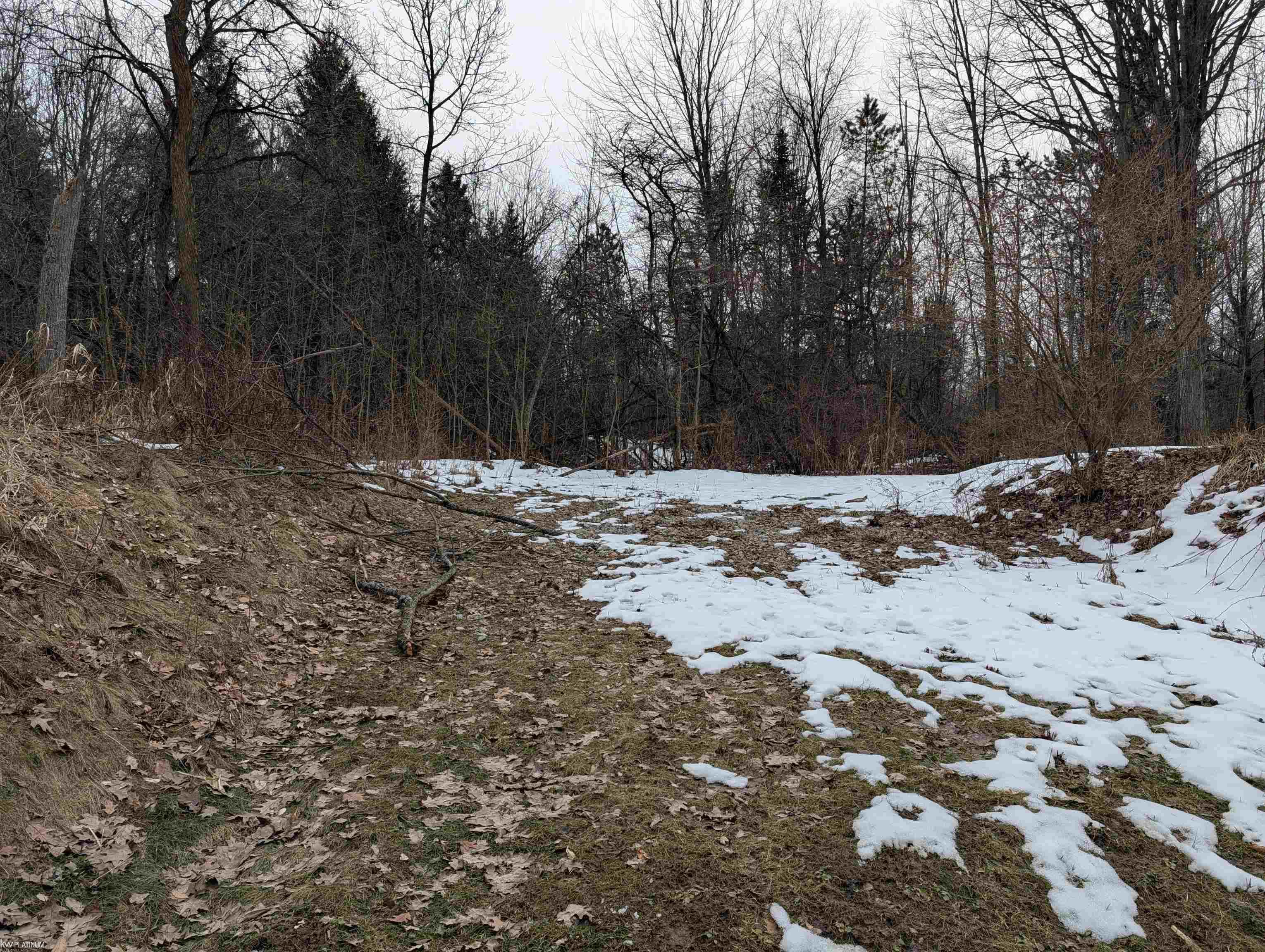9072 Green Road Goodells, MI 48027 - Photo 50 of 73