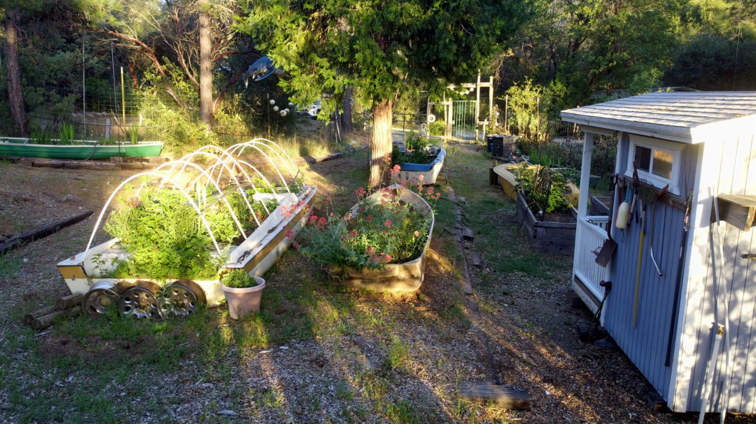 12767 Newtown Road Nevada City, CA 95959 - Photo 26 of 57 a view of an outdoor space and yard