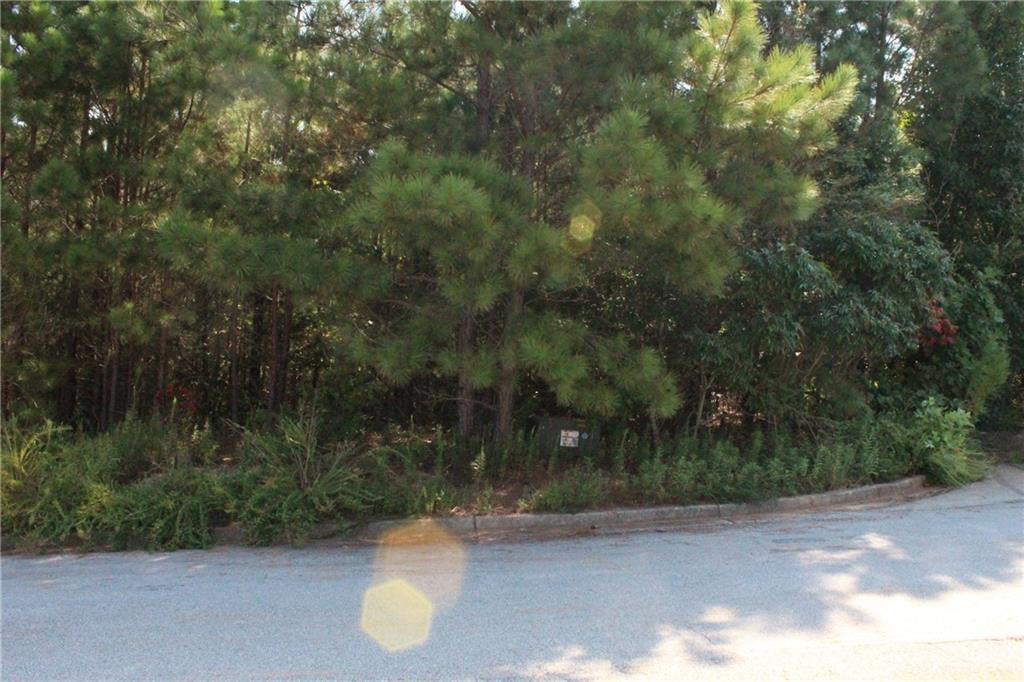 7732 Austin Court Winston, GA 30187 - Photo 17 of 25