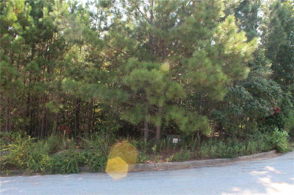 7732 Austin Court Winston, GA 30187 - Photo 18 of 25