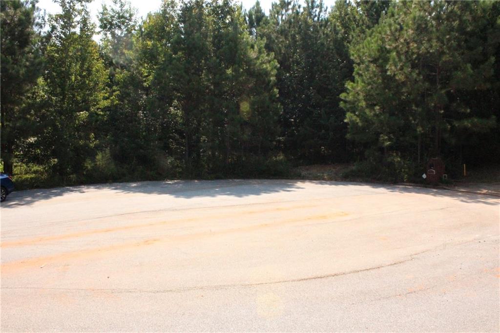 7732 Austin Court Winston, GA 30187 - Photo 21 of 25