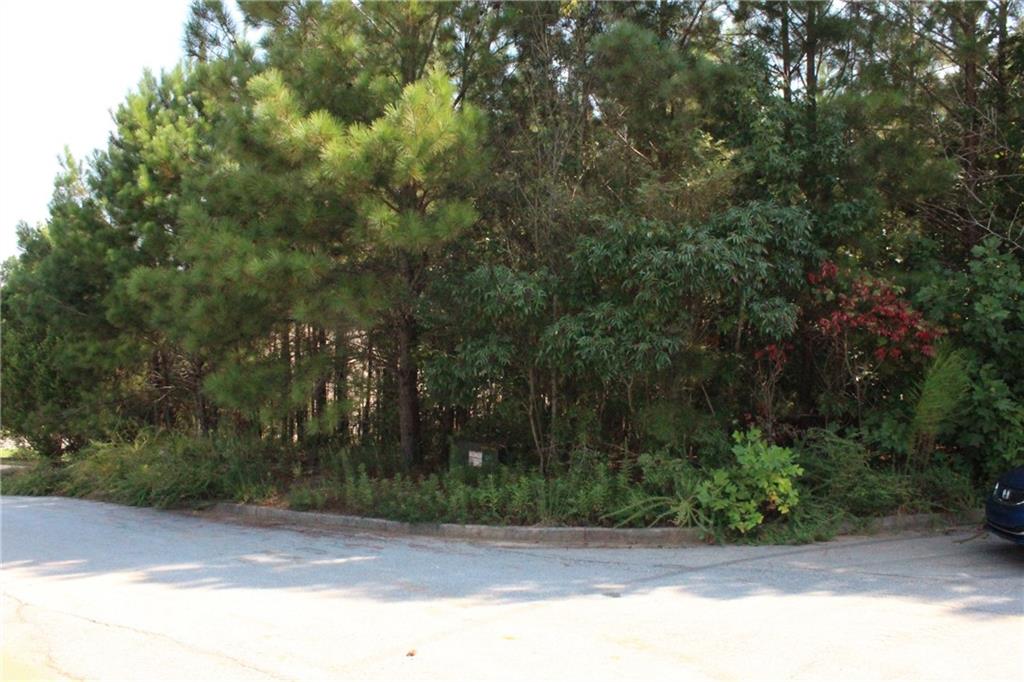 7732 Austin Court Winston, GA 30187 - Photo 22 of 25